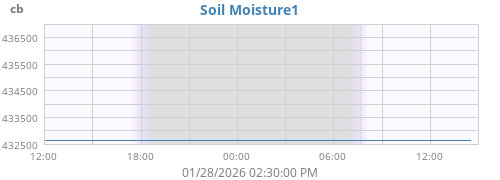 daymoistsoil